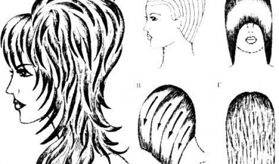 Schéma de rhapsodie de coupe de cheveux