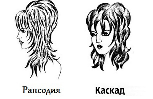Comparaison des coupes de cheveux rhapsodie et cascade