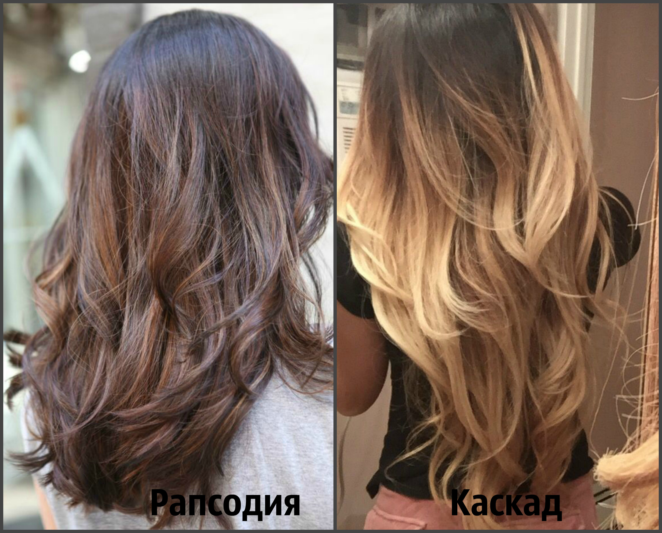  Comparaison des coupes de cheveux rhapsodie et cascade