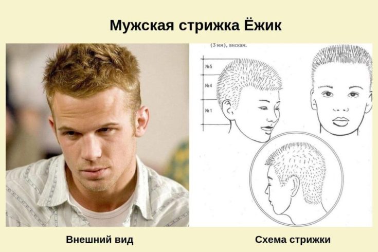 (+183 photos) Hérisson de coupe de cheveux pour hommes