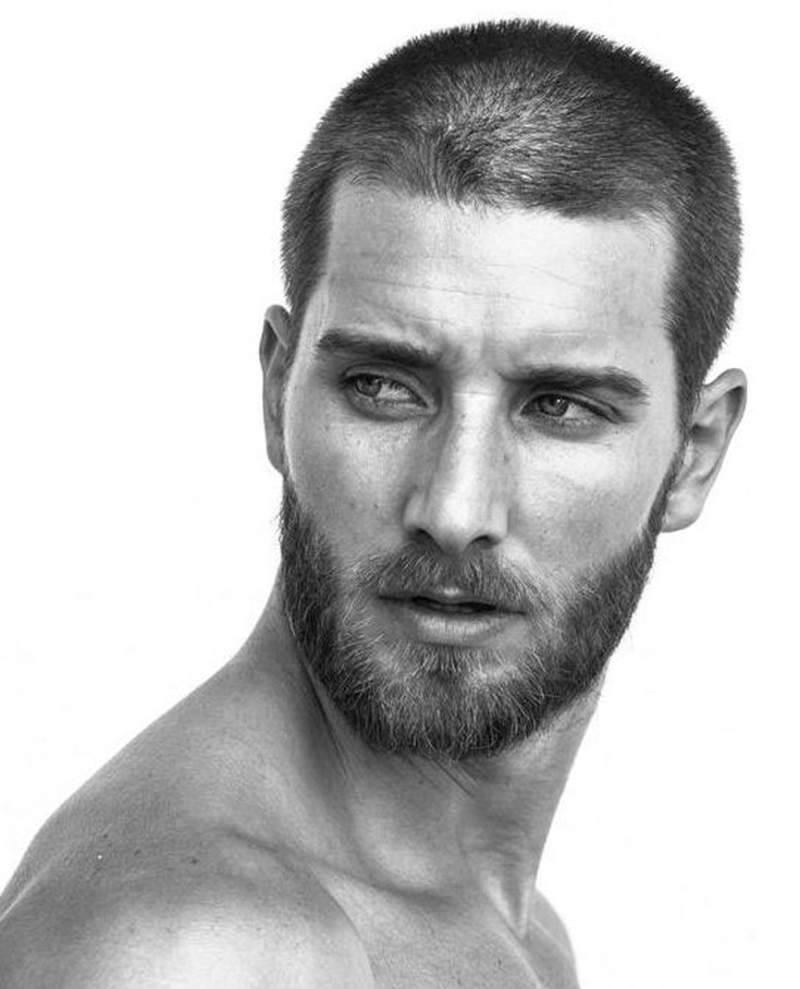 (+183 photos) Hérisson de coupe de cheveux pour hommes