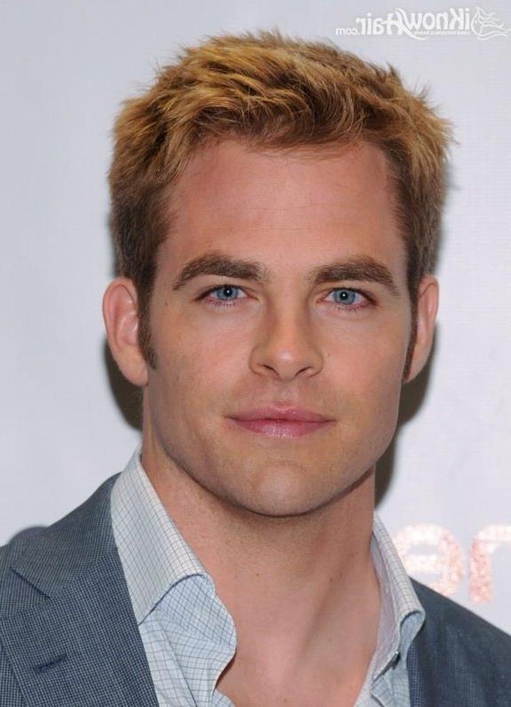 (+183 photos) Hérisson de coupe de cheveux pour hommes