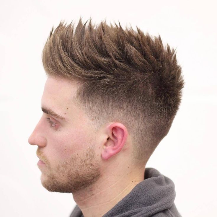 (+183 photos) Hérisson de coupe de cheveux pour hommes