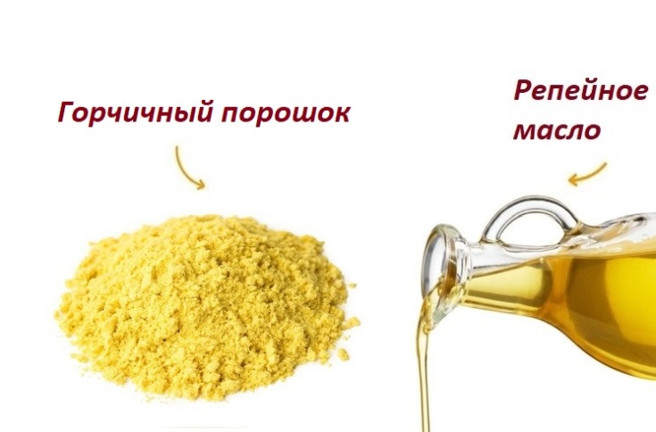 Masques à la moutarde pour la chute des cheveux