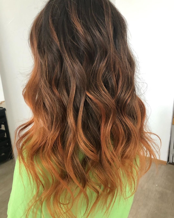Couleur des cheveux noir et roux