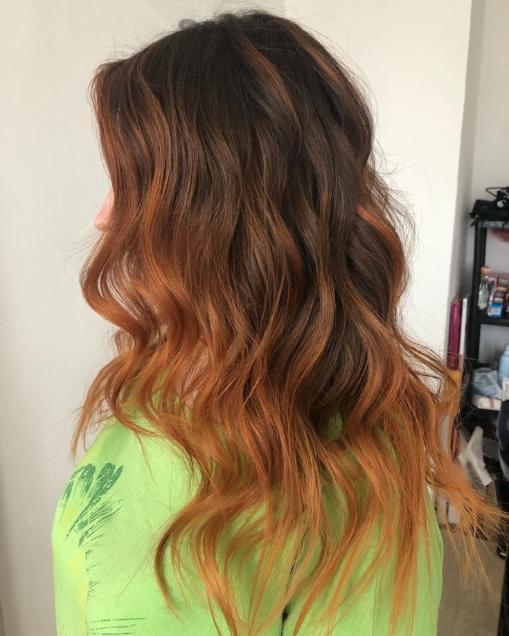 Couleur des cheveux bruns