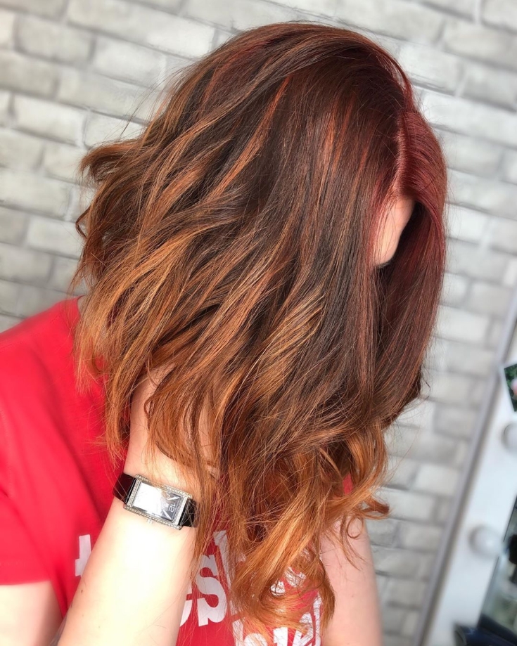 Couleur des cheveux noir et roux