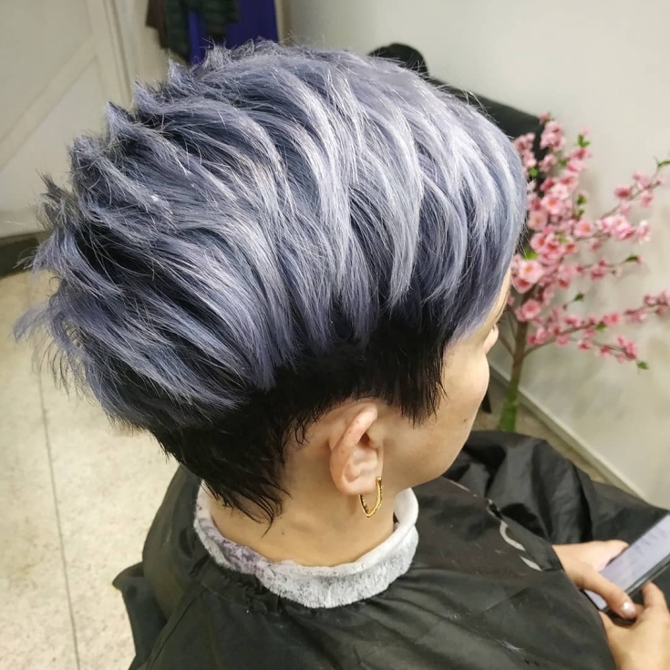 Couleur de cheveux noir cendré
