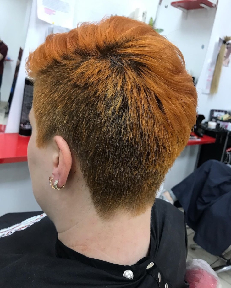 Couleur des cheveux noir et roux