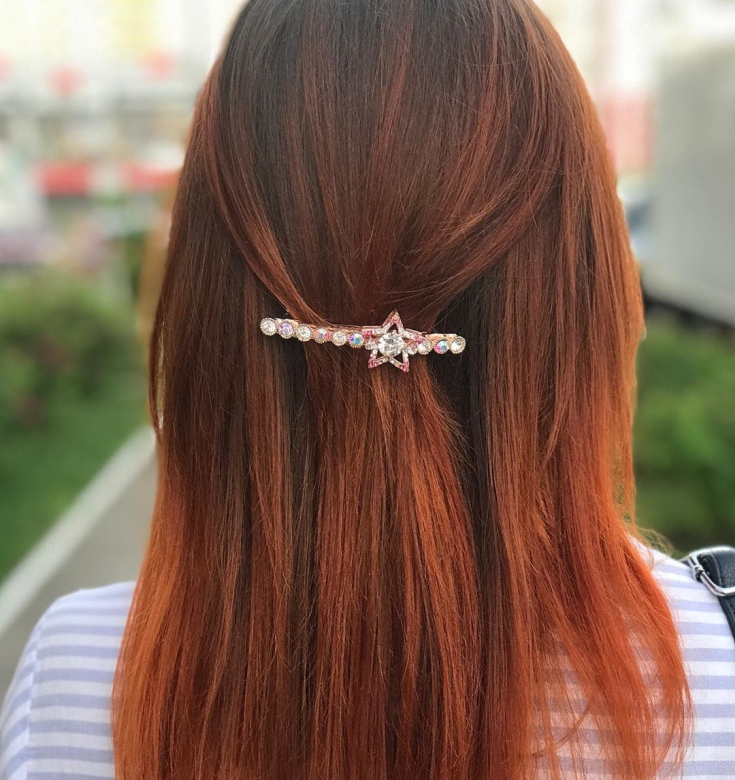Couleur des cheveux noir et roux