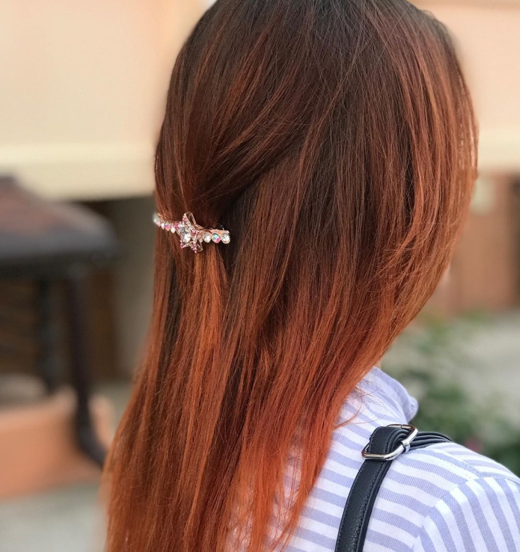 Couleur des cheveux bruns