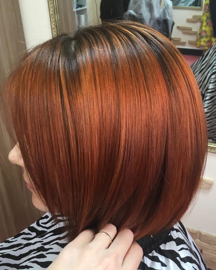 Couleur des cheveux noir et roux