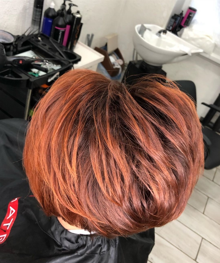 Couleur des cheveux noir et roux
