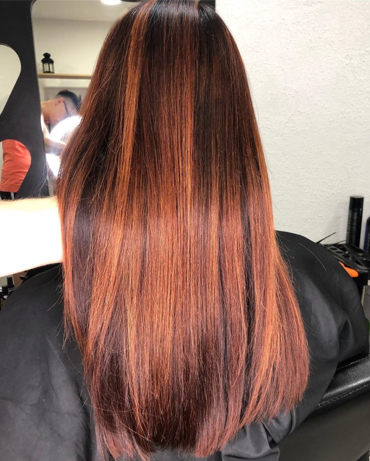 Couleur des cheveux noir et roux