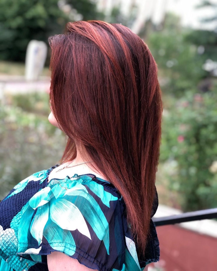 Couleur des cheveux noir et roux