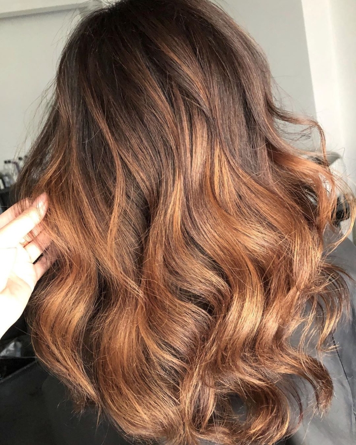 Couleur des cheveux bruns