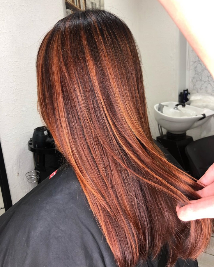 Couleur des cheveux noir et roux