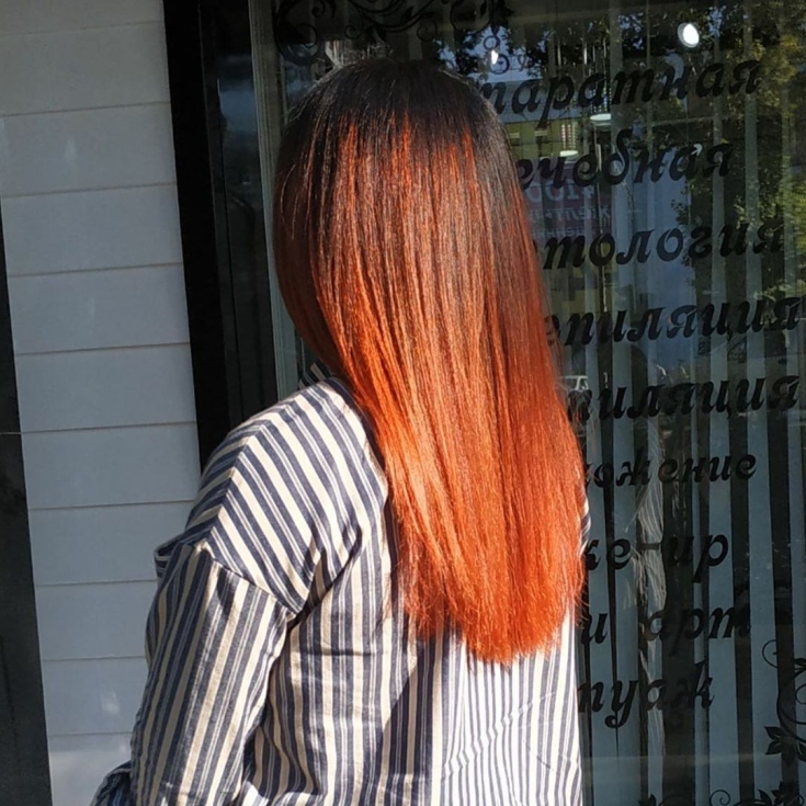 Couleur des cheveux noir et roux