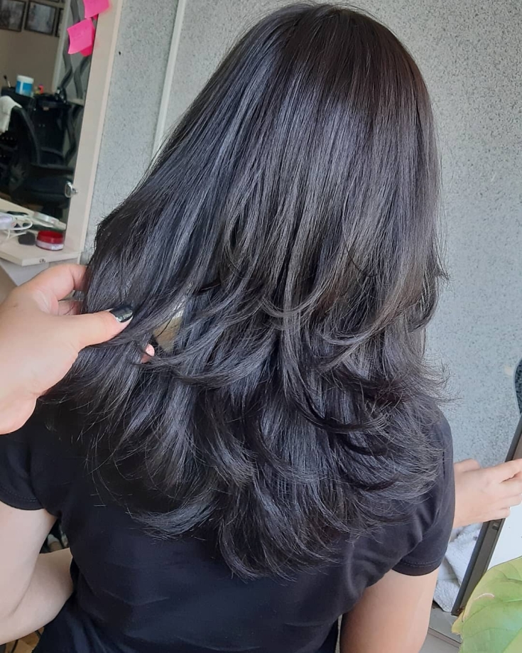 Couleur de cheveux noir cendré