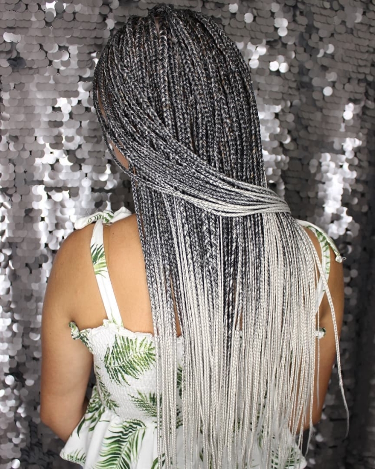 Couleur de cheveux noir cendré