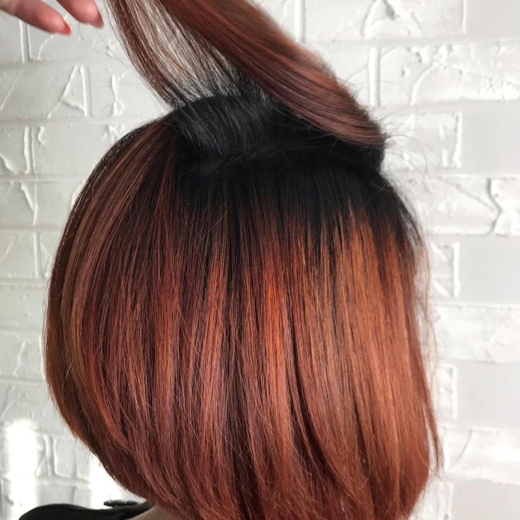 Couleur des cheveux noir et roux