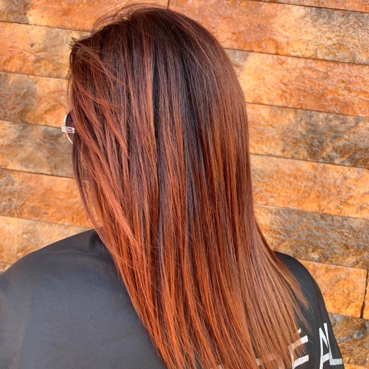Couleur des cheveux noir et roux