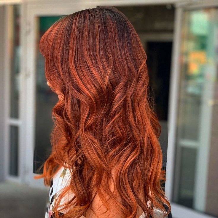 Couleur des cheveux noir et roux