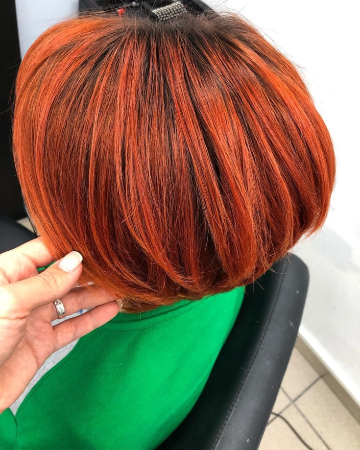 Couleur des cheveux noir et roux