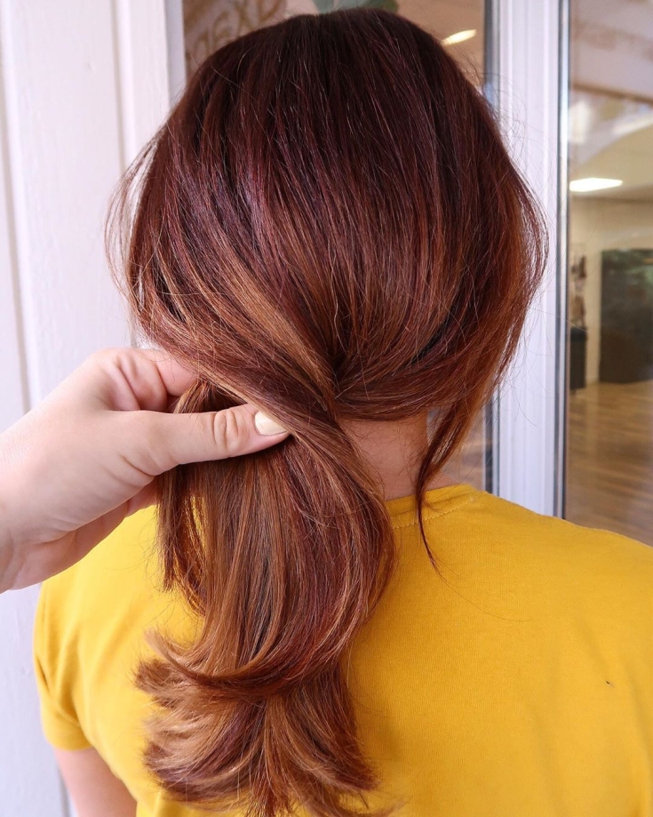 Couleur des cheveux brun rougeâtre