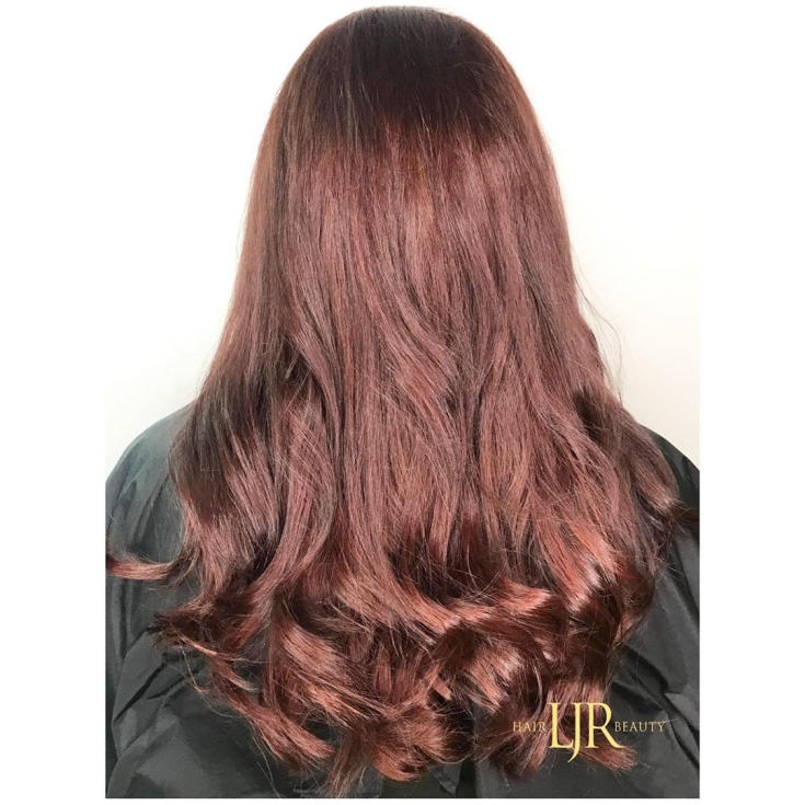 Couleur des cheveux brun rougeâtre