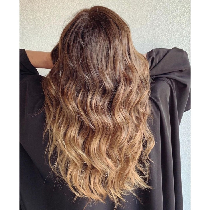 Couleur des cheveux châtain clair