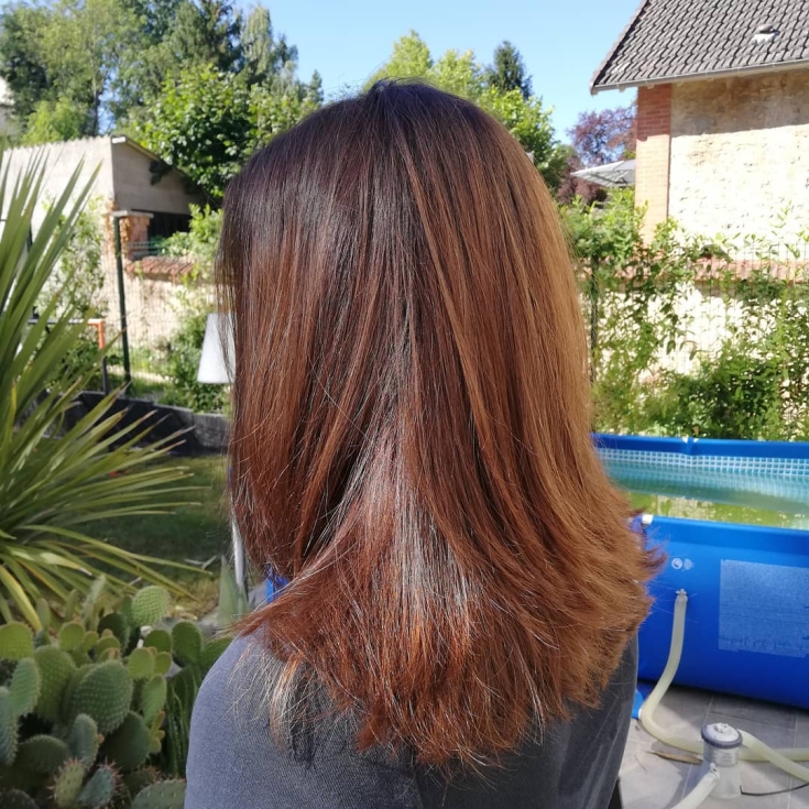 Couleur des cheveux brun rougeâtre