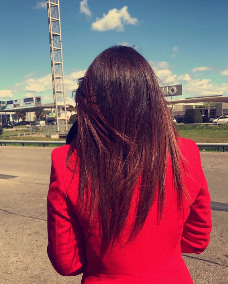 Couleur des cheveux brun rougeâtre