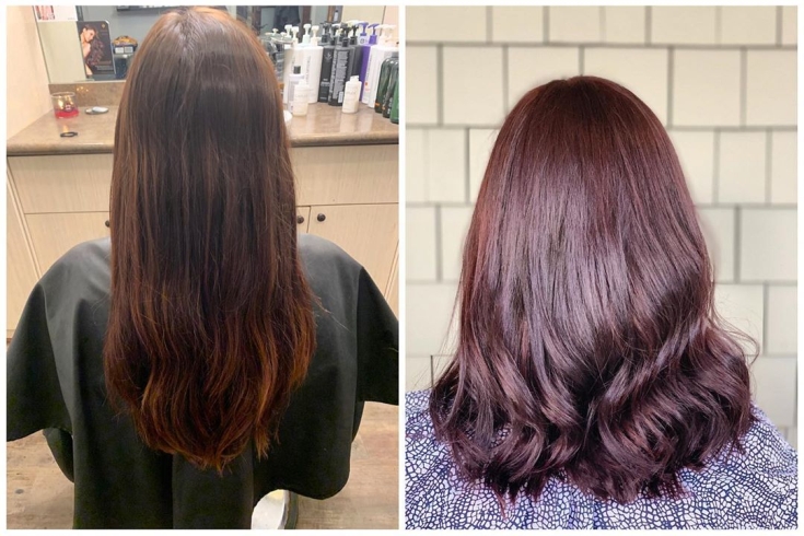 Couleur des cheveux brun rougeâtre