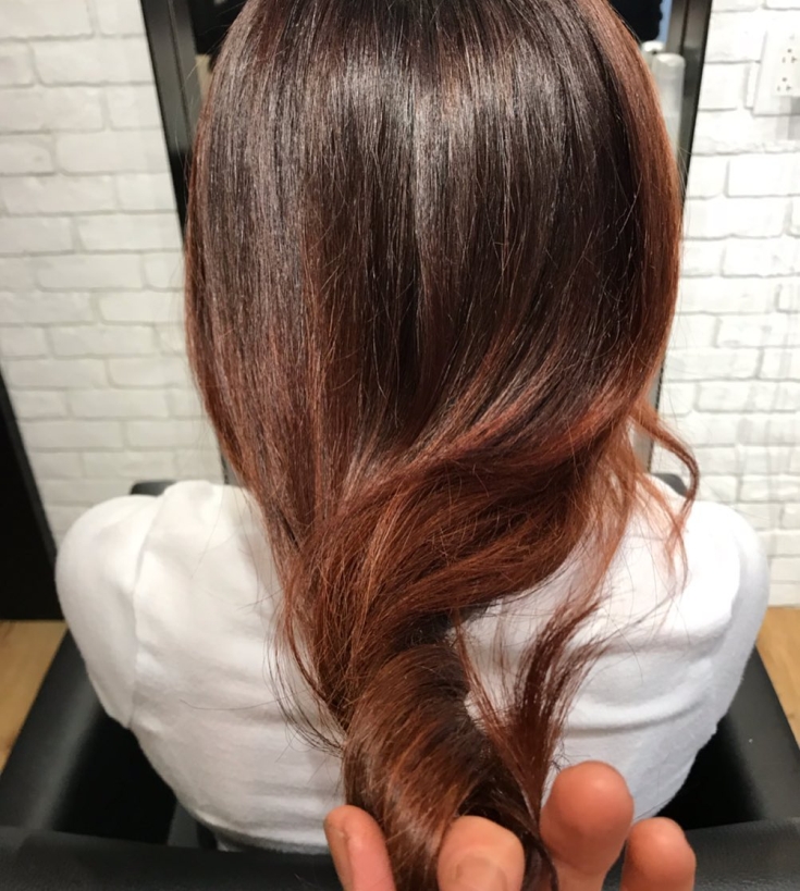 Couleur des cheveux brun rougeâtre