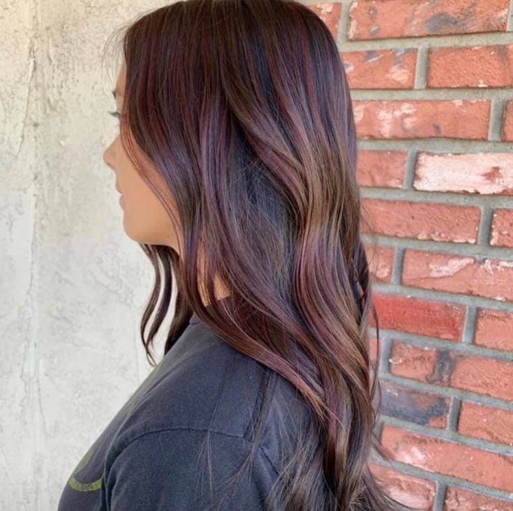 Couleur des cheveux brun rougeâtre