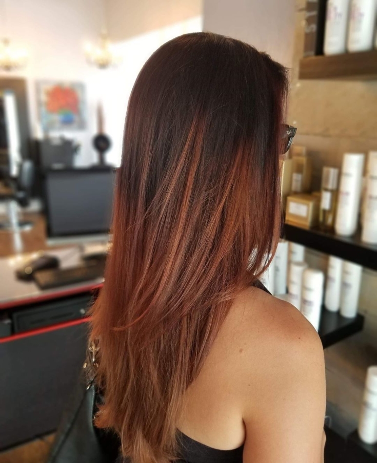Couleur des cheveux brun rougeâtre