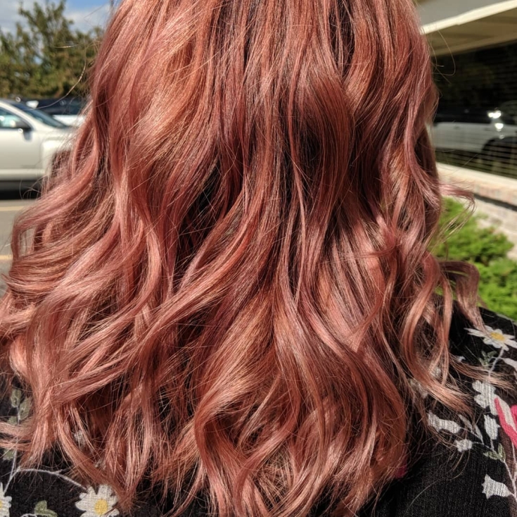 Couleur de cheveux brun-rose