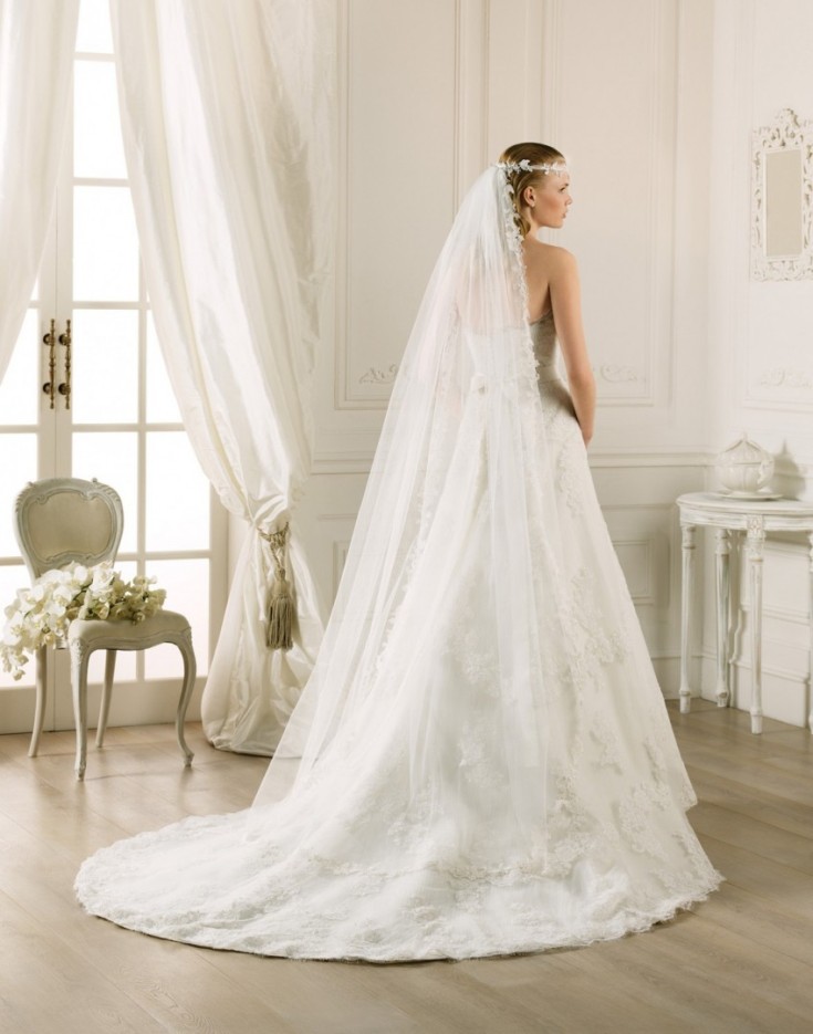 (+240 photos) Coiffures de mariage pour cheveux longs avec un voile