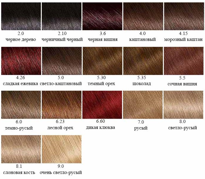 Palette de peinture Garnier par numéros avec exemples et photos
