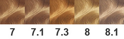 Palette de peinture Garnier par numéros avec exemples et photos