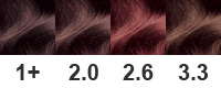 Palette de peinture Garnier par numéros avec exemples et photos