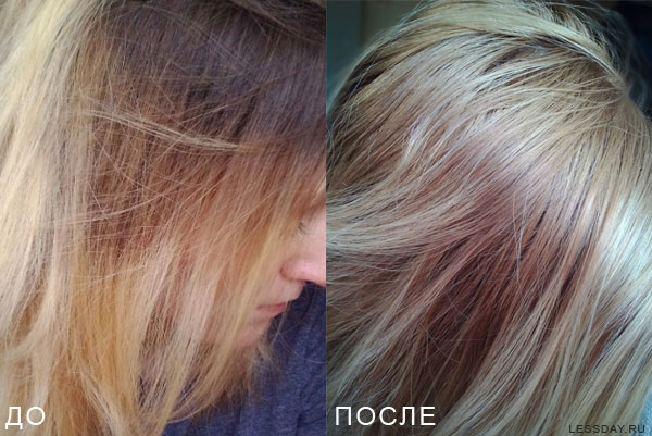 Palette de peinture Garnier par numéros avec exemples et photos