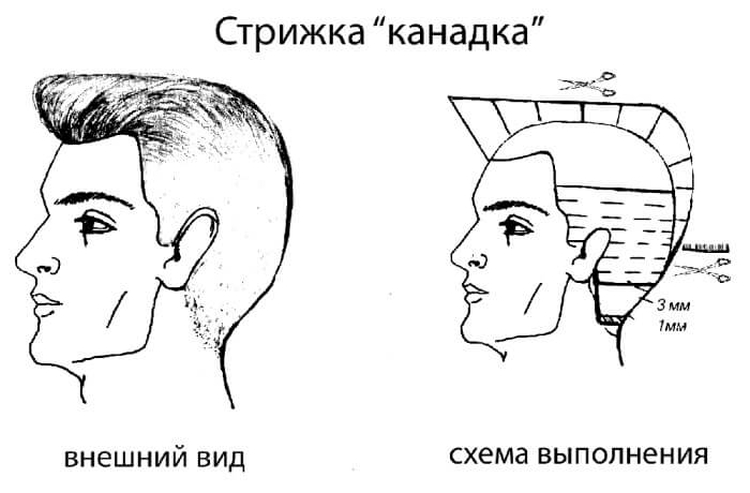 Coupes de cheveux pour hommes aux tempes rasées avec noms et exemples