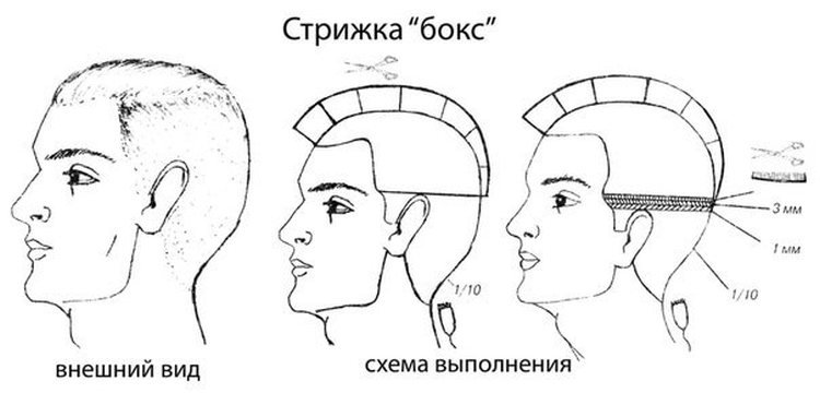 Coupes de cheveux pour hommes aux tempes rasées avec noms et exemples