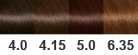 Palette de peinture Garnier par numéros avec exemples et photos