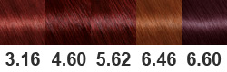 Palette de peinture Garnier par numéros avec exemples et photos