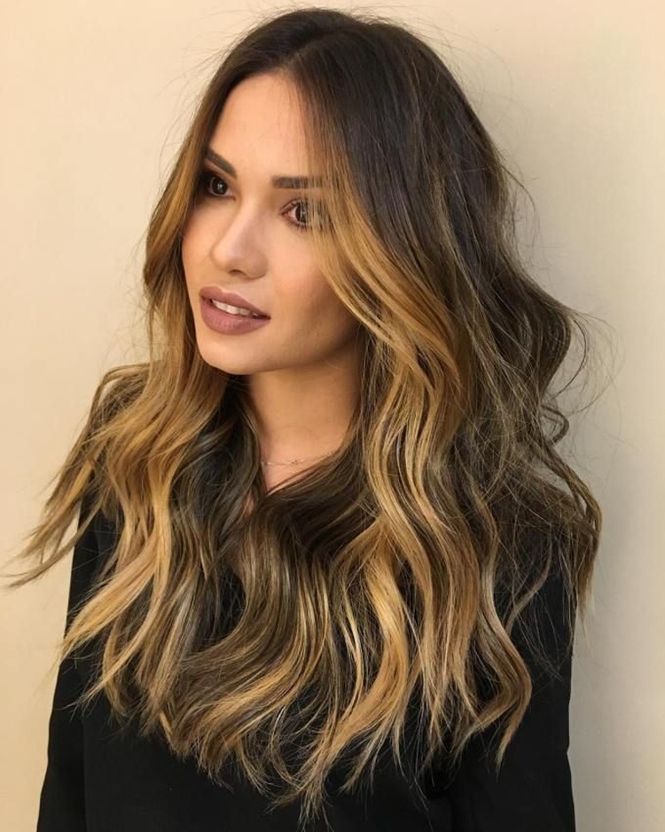 Faits saillants pour les cheveux longs