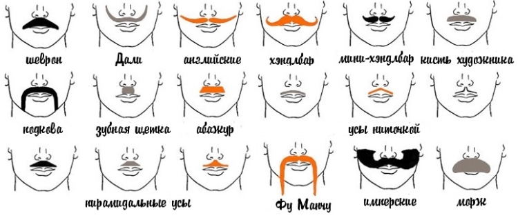 Types et formes de barbes populaires pour hommes avec exemples et noms