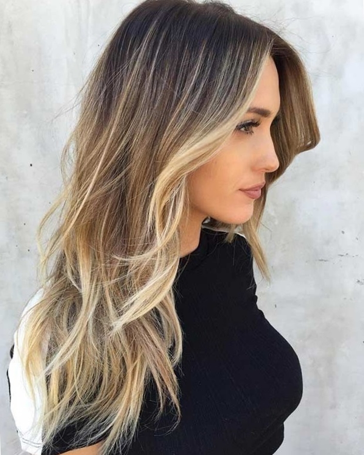 Faits saillants pour les cheveux longs